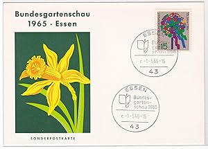 AK Sonderpostkarte Bundesgartenschau 1965 Essen Sonderstempel ungelaufen