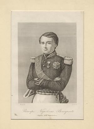 Principe Napoleone Bonaparte, cugino dell'Imperatore. (Ritratto a mezza figura, braccia conserte,...