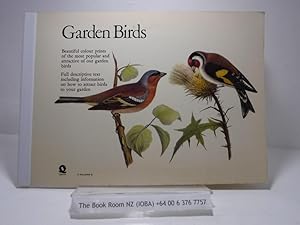 Garden Birds