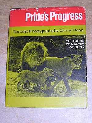 Prides Progress: The Story Of A Family Of Lions