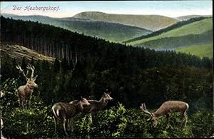 Ansichtskarte / Postkarte Hirsche am Waldrand, Blick zum Heubergskopf, Berge