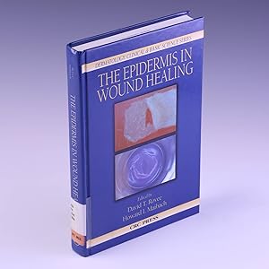 Immagine del venditore per The Epidermis in Wound Healing (Dermatology: Clinical & Basic Science) venduto da Salish Sea Books