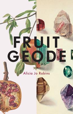 Seller image for Fruit Geode (Paperback or Softback) for sale by BargainBookStores