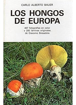 Hongos de europa