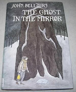 The Ghost in the Mirror