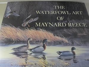 The Waterfowl Art of Maynard Reece