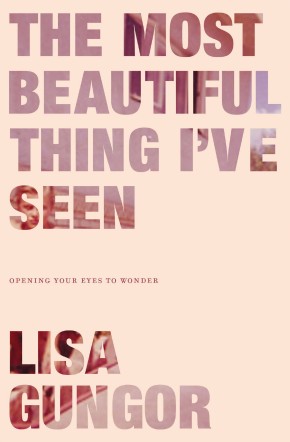 Seller image for The Most Beautiful Thing I've Seen: Opening Your Eyes to Wonder for sale by ChristianBookbag / Beans Books, Inc.