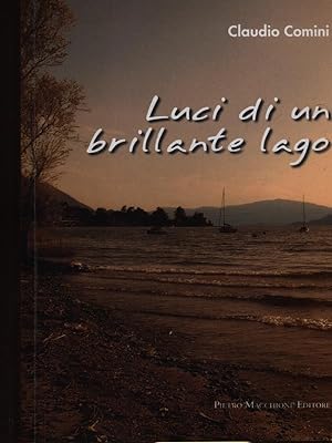 Bild des Verkufers fr Luci di un brillante lago zum Verkauf von Librodifaccia