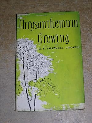 Chrysanthemum Growing