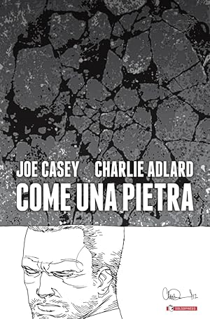 Seller image for Come una pietra for sale by Libro Co. Italia Srl