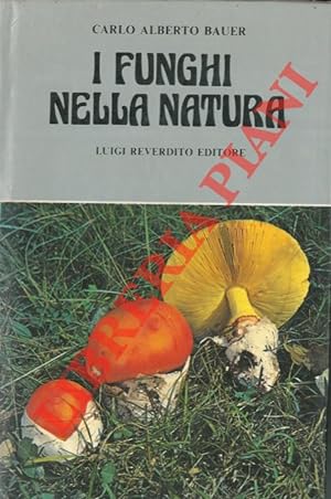I funghi nella natura.