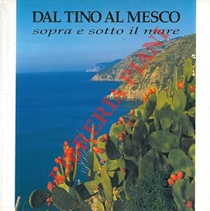Image du vendeur pour Dal Tino al Mesco sopra e sotto il mare. mis en vente par Libreria Piani