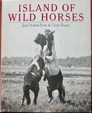 Image du vendeur pour Island of Wild Horses mis en vente par Canford Book Corral