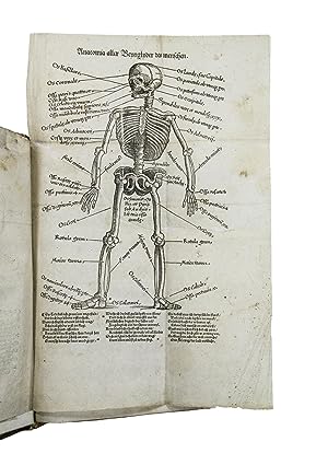 Image du vendeur pour Feldtbuch der Wund Artzney, sampt vilen Instrumenten der Chirurgey dem Albucasi contrafayt. Chiromantia Jo. Indagine. Das ist, die Kunst der Handtbesehung. Natrliche Astrologey, nach warem Lauff der Sonnen. Physiognomey, uss des Menschens Anblick und Glyderen, sein angeborne Neygung zu erlernen. Wie auch, und wenn sich der Artzney zugebrauchen mis en vente par PrPh Books