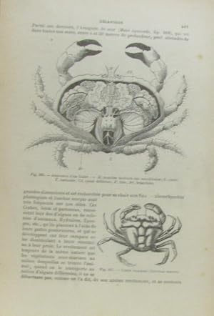 Seller image for Cours lmentaire de Zoologie (7e dition revue) for sale by crealivres