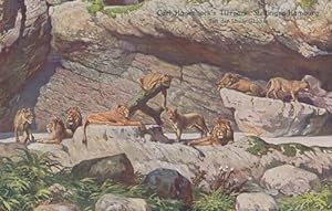 Seller image for Carl Hagenbeck Tierpark Park Lion Tamer Antique Old Postcard for sale by Postcard Finder