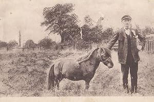 Pony Dick Guiness Book Of Records Smallest Ever Horse Animal Antique Postcard