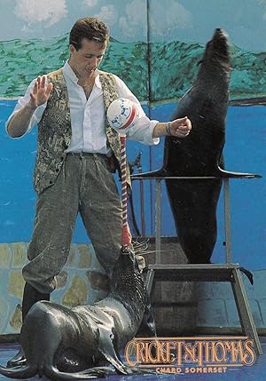 Dolphin Seal Training Water Park Entertainer Somerset 1980s Postcard