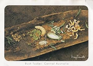 Bush Tucker Disgusting Food BBQ Caterpillars Insects Fried Australia Postcard