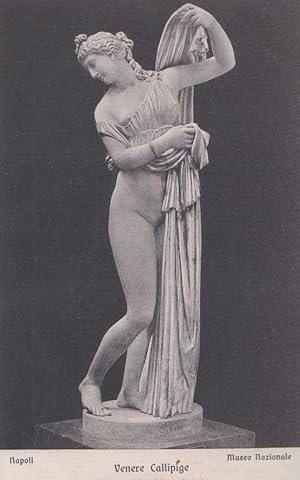 Venere Callipige Museo Nazionale Napoli Antique Italy Statue Sculpture Postcard