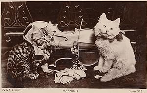 VINTAGE CALICO TABBY KITTEN CAT IN SEWING BASKET POSTCARD UNUSED LUSTERCHROME 