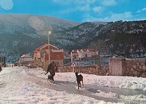 Sabugueiro Roadsign Deer Cattle in Winter Serra Da Estrela Portugal Map Postcard