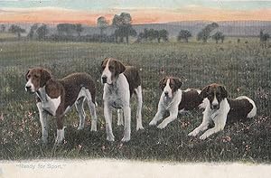 Image du vendeur pour Ready For Sport Fox Hunting Dogs Antique Dog Thin Plain Postcard mis en vente par Postcard Finder