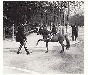 French Horse Training Street Riding in 1912 Equestrian Photo Postcard