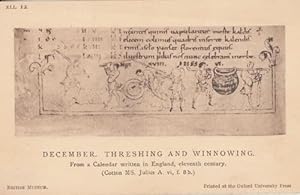Threshing Winnowing Medieval Roman Calendar London Museum Antique Postcard