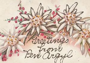 Ben Argyl Greetings REAL GLITTER ANTIQUE Postcard