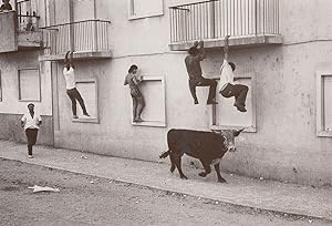 Portugal Climbing House Burglary Race From Mad Bull Chase Photo Postcard