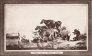 Cows Circus Formation Boots The Chemists Advertising RPC Postcard