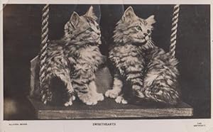 Sweethearts Cat On A Swing Lovers Real Photo Cats Swinging Postcard