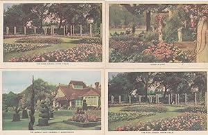 Seller image for Queen Elizabeth Dairy Roses A Rose Garden 4x Old Postcard s for sale by Postcard Finder
