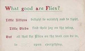 What Good Are Flies Songcard Insect Poem Proverb Kittens Little Birds Postcard