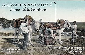 Jerez De La Frontera Horse Transport Advertising Portugal Postcard