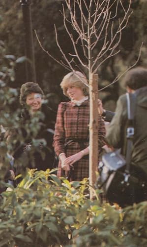 Planting A Tree Plants 1981 Princess Diana Wedding Royal Postcard