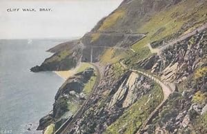 Bray Cliff Walk Mountain Tops Paths Antique Aerial Irish Ireland Postcard