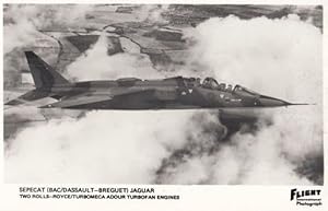 Sepecat Dassault IBAC Jaguar Rolls Royce Turbofan Engine Military Plane Postcard