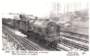 On The Water Troughts Hertfordshire Bushey Rare Train Railway Photo Postcard