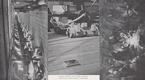 HMS Victory Gun Deck Death Of Nelson Plaque 3x Postcard s
