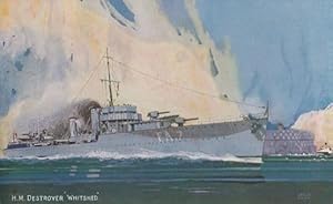HM Destroyer Whitshed Admiralty Modified W Class Destroyer Ship Postcard