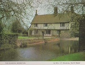 The Bushes Moreton Epping Forest Essex Postcard
