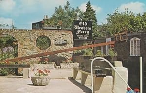 Old Weavers Ferry Ducking Stool Sign Canterbury 1980s Postcard