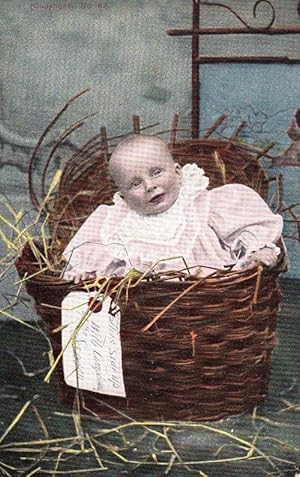 Immagine del venditore per Season Baby Child In Basket Gift Present + Baggage Tag Antique Postcard venduto da Postcard Finder