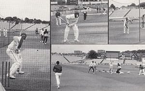 West India Cricket Team Practicing at Headingly Postcard