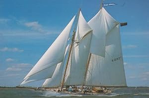 Bild des Verkufers fr Vagrant Vanderbilt Family Tall Ship Sailing In Solent after Refit Postcard zum Verkauf von Postcard Finder