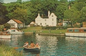 Coltishall River Bure Half Risque Norfolk Rowing Boat 1970s Postcard
