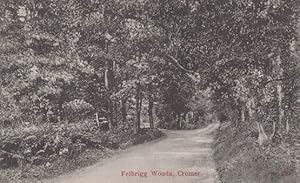 Felbrigg Woods Cromer Vintage Postcard