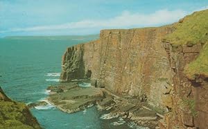 The Cliffs Of Handa Island 1970s Scottish Postcard